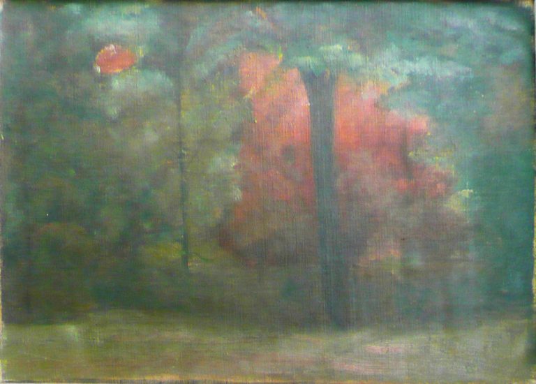 ARVOREDO - OST - 18 x 25 cm - c.1905 - COLEÇÃO PARTICULAR