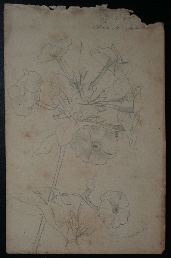 FLORES - CRAYON S/PAPEL - 16,0 x 10,5 cm - 1902 - DESMEMBRADO DE UM CADERNO DE ANOTAÇÕES - COLEÇÃO PARTICULAR