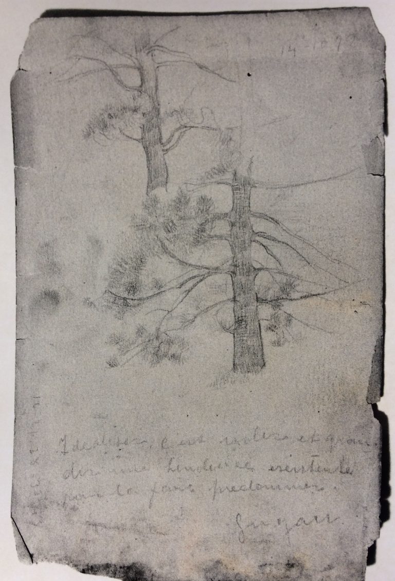 PINHEIRO - FUSAIN SOBRE PAPEL - 60,0 x 48,0 cm - 1899 - LOCALIZAÇÃO DESOCNHECIDA